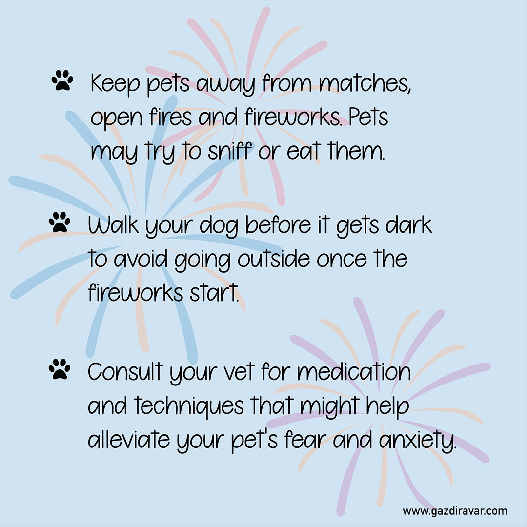 Fireworks Image5