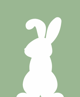 rabbit outline