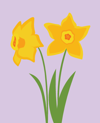 daffodil