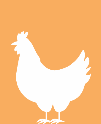 chicken outline