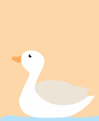 duck