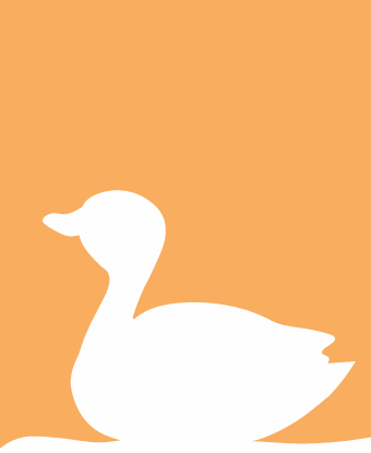 duck outline